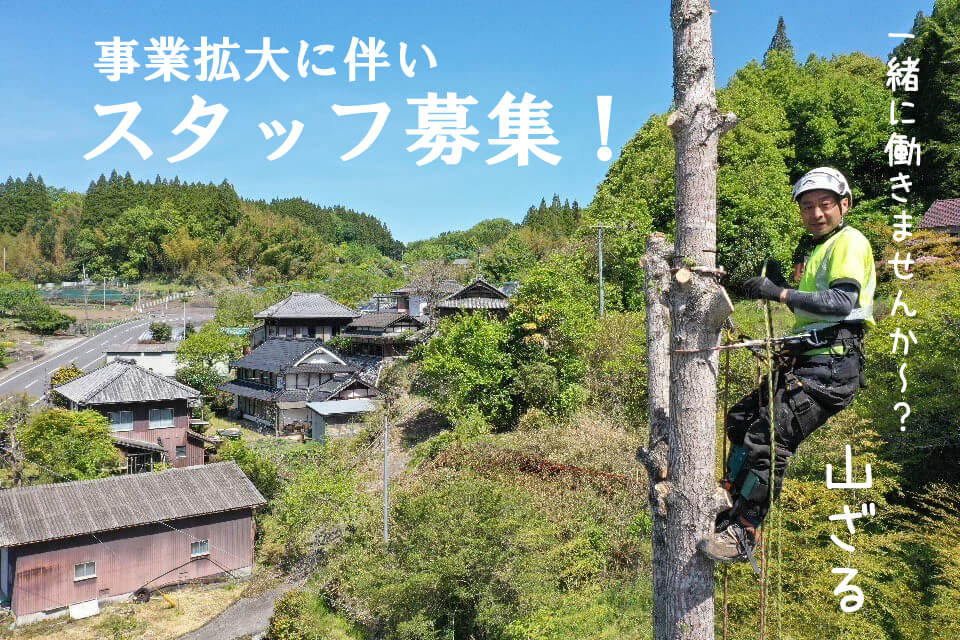 求人 – 熊本で木の伐採・剪定・特殊伐採｜株式会社山猿